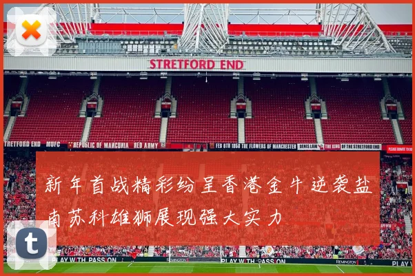 新年首战精彩纷呈香港金牛逆袭盐南苏科雄狮展现强大实力